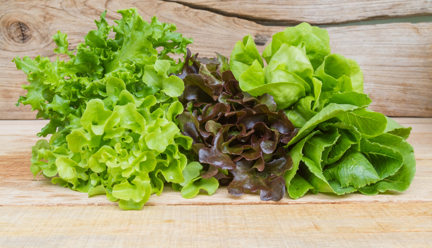 Is it Possible to Freeze Lettuce?